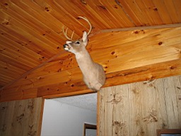 White River in Arkansas 107.jpg